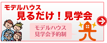 見るだけ見学会